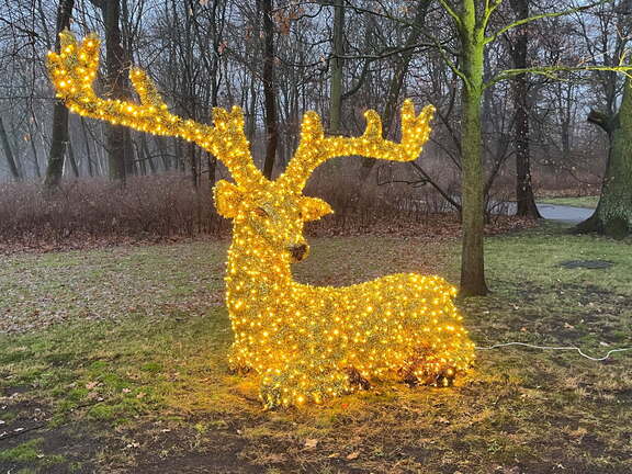 24-12-06 15-56-45 1668